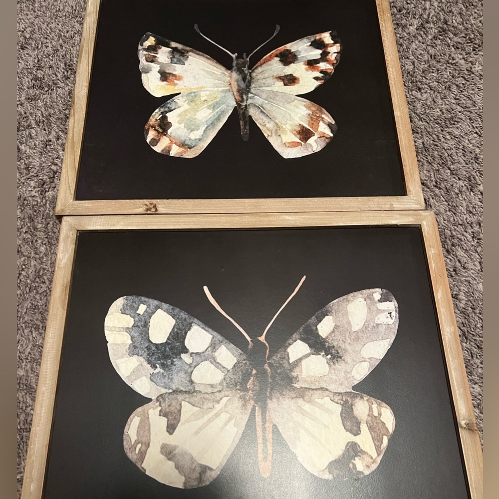 Butterfly Wall Art